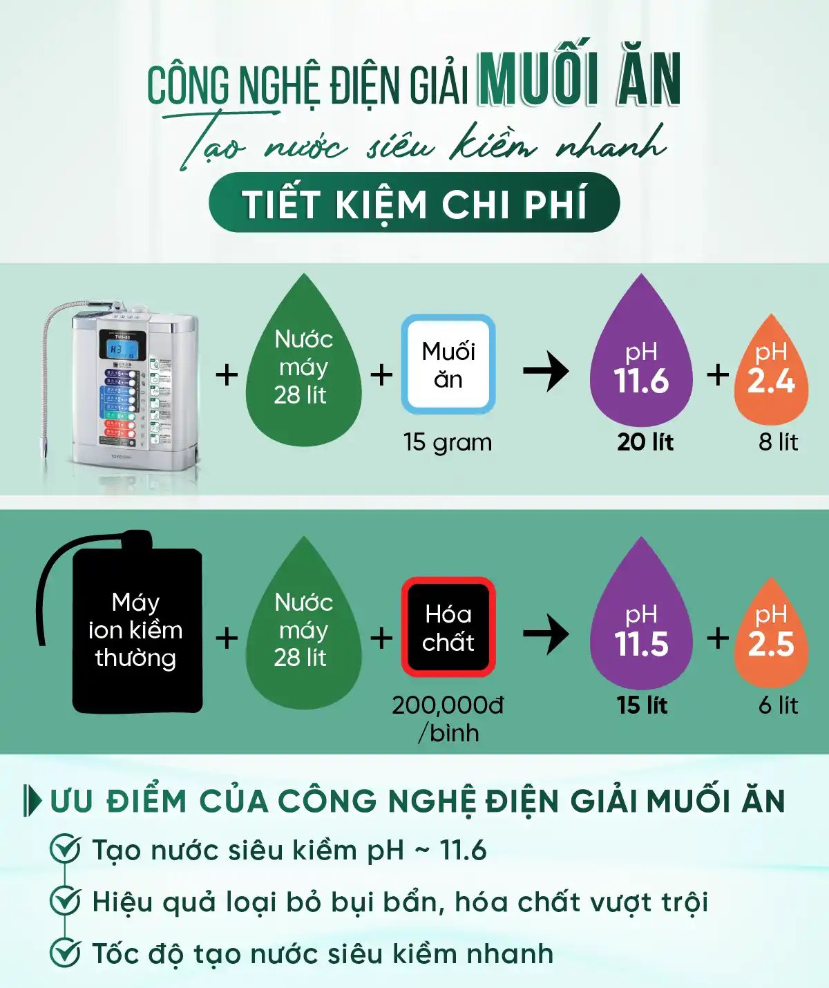 web-455-infographic-toyo-suwa-tyh-80-6