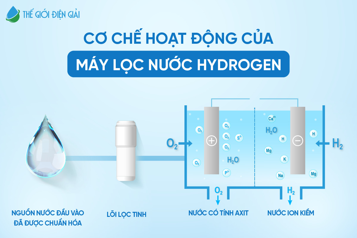 co-che-hoat-dong-may-loc-nuoc-hydrogen