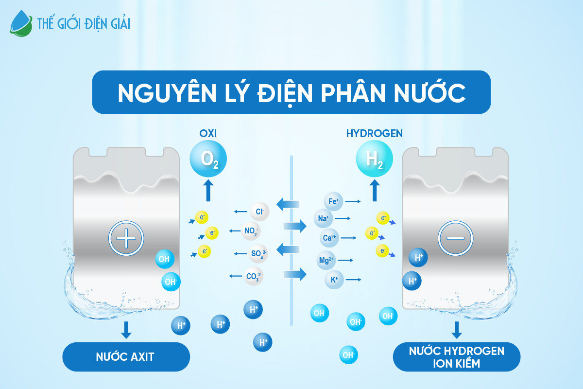 nguyen-ly-dien-phan-nuoc-cua-may-dien-giai